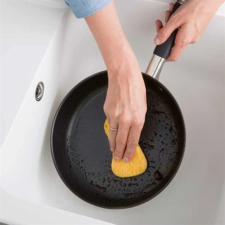 Set Poêle Anti-adhérente Rapid Cook 24 Cm Et 2 éponges Végétales 2 Set Poêle Anti-adhérente Rapid Cook 24 Cm Et 2 éponges Végétales – Image 2