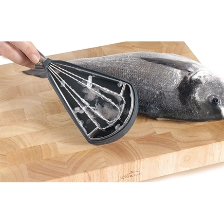 Grattoir à Poisson Inox 3 Grattoir à Poisson Inox – Image 3