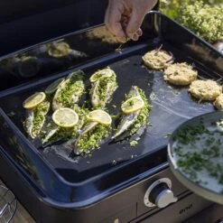 Plancha à Gaz Combo Enosign 65 Bleu Navy 2 Feux -Maison Cuisine 781013 3 4 Plancha a gaz Combo enosign 65 bleu navy 2 feux ENO